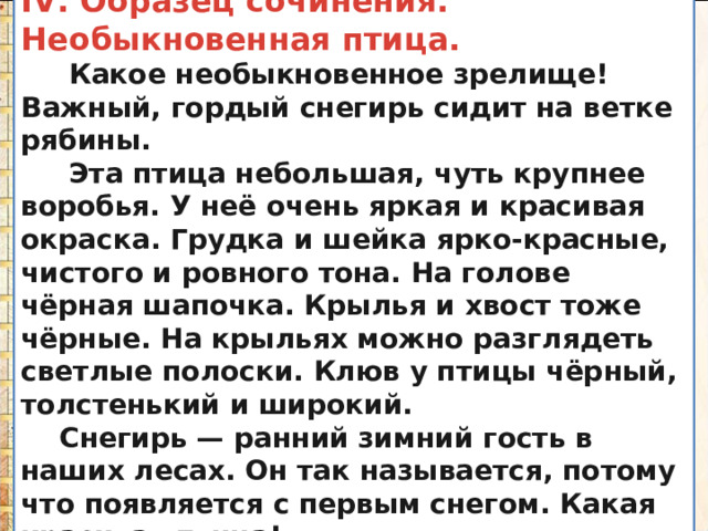 IV. Образец сочинения.  Необыкновенная птица.  Какое необыкновенное зрелище! Важный, гордый снегирь сидит на ветке рябины.  Эта птица небольшая, чуть крупнее воробья. У неё очень яркая и красивая окраска. Грудка и шейка ярко-красные, чистого и ровного тона. На голове чёрная шапочка. Крылья и хвост тоже чёрные. На крыльях можно разглядеть светлые полоски. Клюв у птицы чёрный, толстенький и широкий.  Снегирь — ранний зимний гость в наших лесах. Он так называется, потому что появляется с первым снегом. Какая красивая птица! 