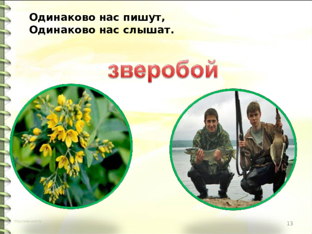 Одинаково нас пишут,  Одинаково нас слышат. 6 