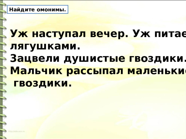 Найдите омонимы. Уж наступал вечер. Уж питается лягушками. 3ацвели душистые гвоздики. Мальчик рассыпал маленькие  гвоздики. 
