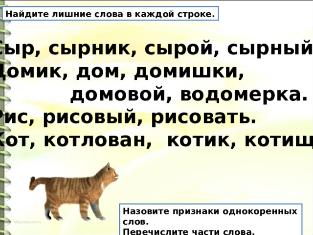 Кот котище однокоренные слова