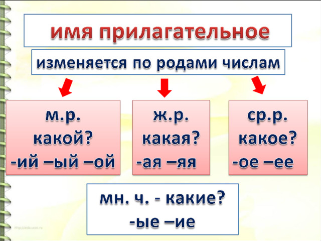 Составьте план сообщения об имени существительном имени прилагательном