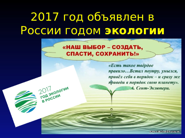 2017 год объявлен в России годом экологии 
