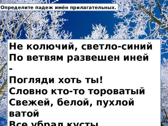 Слово тороватая. Словно кто-то тороватый свежей белой пухлой ватой все убрал кусты. Тороватый. Тороватый значение. Не колючий светло-синий по кустам развешан ответ.