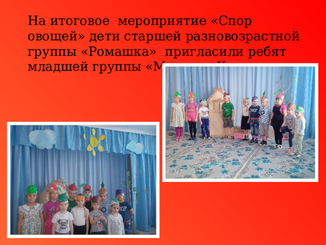 На итоговое мероприятие «Спор овощей» дети старшей разновозрастной группы «Ромашка» пригласили ребят младшей группы «Малыши-Крепыши».  