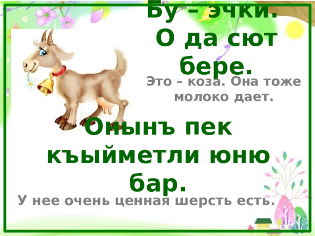 Бу – эчки.  О да сют бере. Это – коза. Она тоже молоко дает. Онынъ пек къыйметли юню бар. У нее очень ценная шерсть есть. 