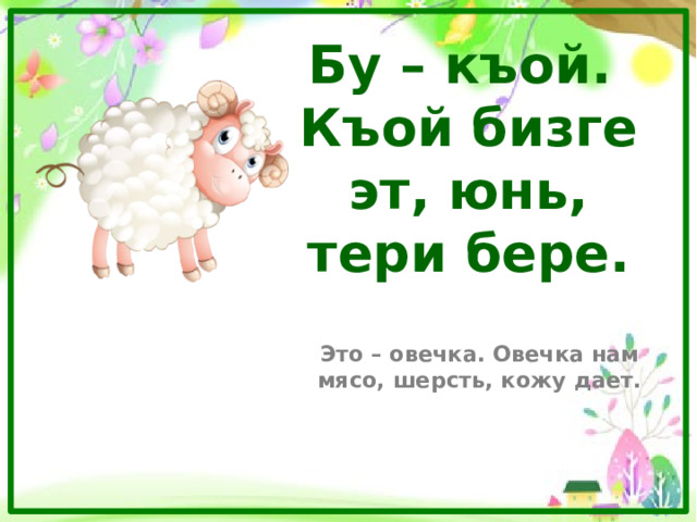 Бу – къой.  Къой бизге эт, юнь, тери бере. Это – овечка. Овечка нам мясо, шерсть, кожу дает. 