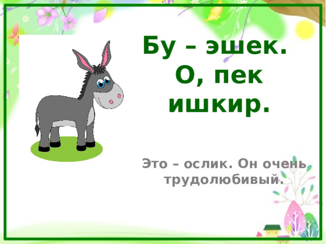 Бу – эшек.  О, пек ишкир. Это – ослик. Он очень трудолюбивый. 