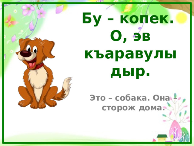 Бу – копек.  О, эв къаравулыдыр. Это – собака. Она – сторож дома. 