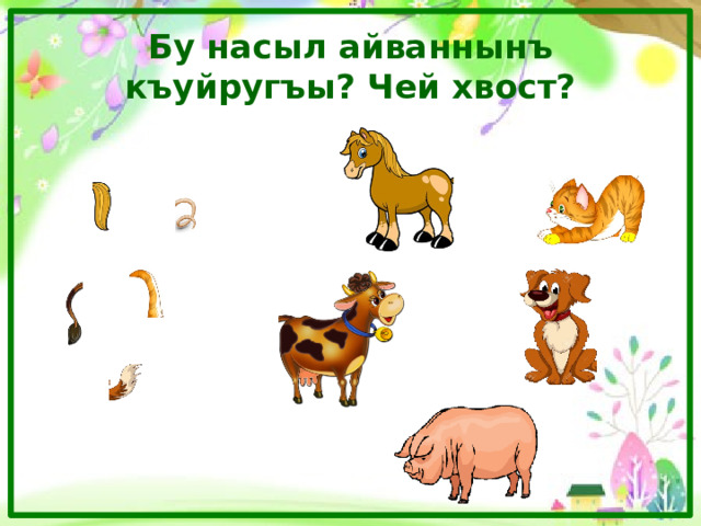 Бу насыл айваннынъ къуйругъы? Чей хвост? 