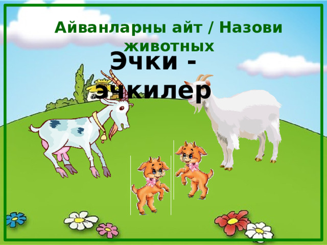 Айванларны айт / Назови животных Эчки - эчкилер 