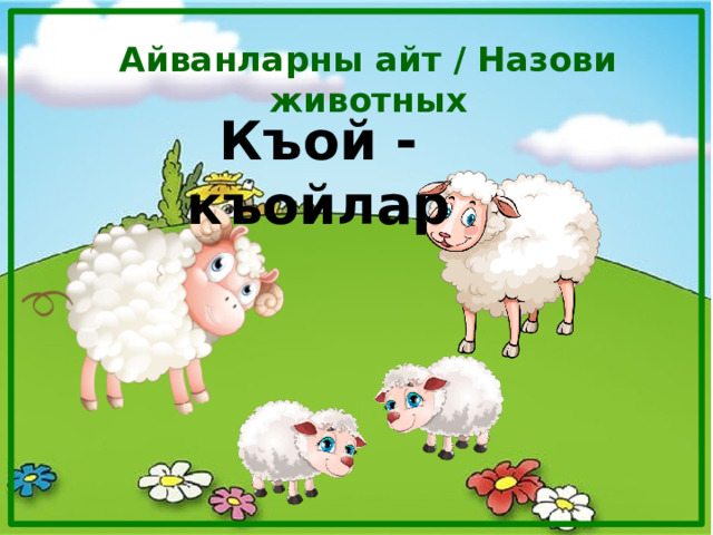 Айванларны айт / Назови животных Къой - къойлар 