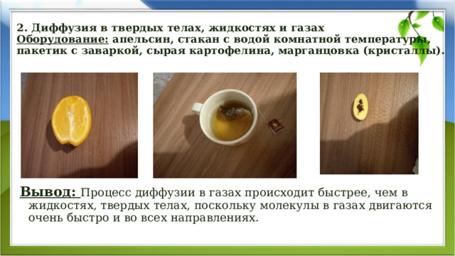 2. Диффузия в твердых телах, жидкостях и газах  Оборудование: апельсин, стакан с водой комнатной температуры, пакетик с заваркой, сырая картофелина, марганцовка (кристаллы).         Вывод: Процесс диффузии в газах происходит быстрее, чем в жидкостях, твердых телах, поскольку молекулы в газах двигаются очень быстро и во всех направлениях. 