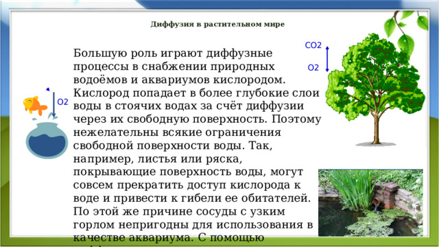 Диффузия в растительном мире   CO2 Большую роль играют диффузные процессы в снабжении природных водоёмов и аквариумов кислородом. Кислород попадает в более глубокие слои воды в стоячих водах за счёт диффузии через их свободную поверхность. Поэтому нежелательны всякие ограничения свободной поверхности воды. Так, например, листья или ряска, покрывающие поверхность воды, могут совсем прекратить доступ кислорода к воде и привести к гибели ее обитателей. По этой же причине сосуды с узким горлом непригодны для использования в качестве аквариума. С помощью диффузии мы дышим, распространяются разные запахи. O2 O2 