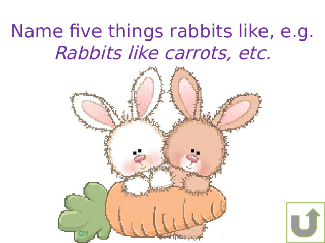 Name five things rabbits like, e.g. Rabbits like carrots, etc. 