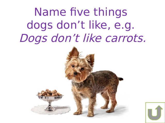 Name five things dogs don’t like, e.g. Dogs don’t like carrots. 