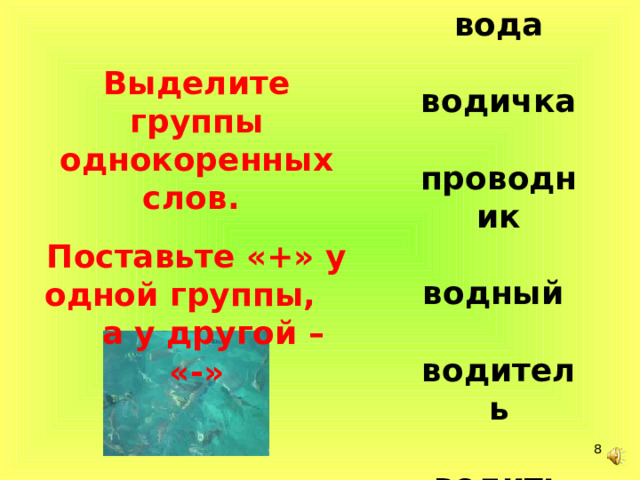 вода   водичка   проводник   водный   водитель   водить   Выделите группы однокоренных слов. Поставьте «+» у одной группы, а у другой – «-»  