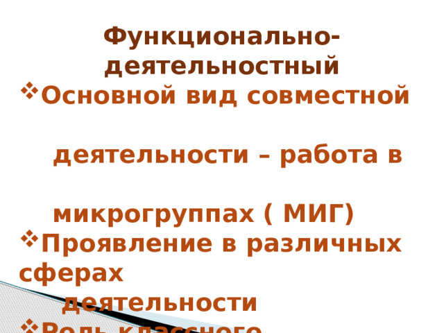 Функционально-деятельностный Основной вид совместной  деятельности – работа в  микрогруппах ( МИГ) Проявление в различных сферах  деятельности Роль классного руководителя -помощь во всех творческих  инициативах ребят 
