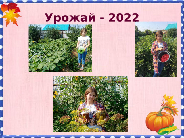 Урожай - 2022 