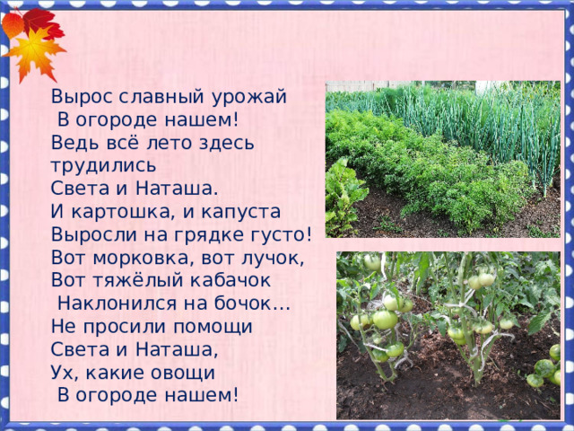      Вырос славный урожай  В огороде нашем! Ведь всё лето здесь трудились Света и Наташа. И картошка, и капуста Выросли на грядке густо! Вот морковка, вот лучок, Вот тяжёлый кабачок  Наклонился на бочок… Не просили помощи Света и Наташа, Ух, какие овощи  В огороде нашем!   