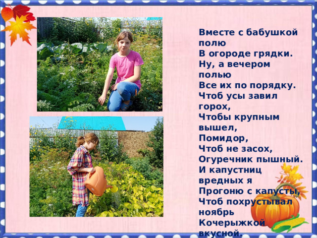 Вместе с бабушкой полю  В огороде грядки.  Ну, а вечером полью  Все их по порядку.  Чтоб усы завил горох,  Чтобы крупным вышел,  Помидор,  Чтоб не засох,  Огуречник пышный.  И капустниц вредных я  Прогоню с капусты,  Чтоб похрустывал ноябрь  Кочерыжкой вкусной. 