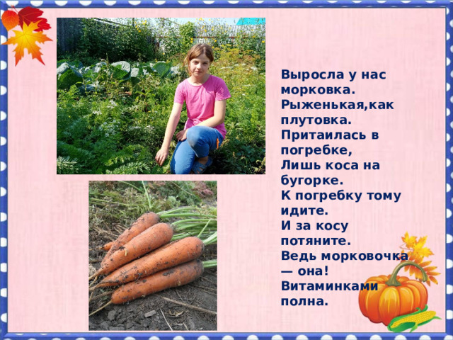 Выросла у нас морковка.  Рыженькая,как плутовка.  Притаилась в погребке,  Лишь коса на бугорке.  К погребку тому идите.  И за косу потяните.  Ведь морковочка — она!  Витаминками полна. 