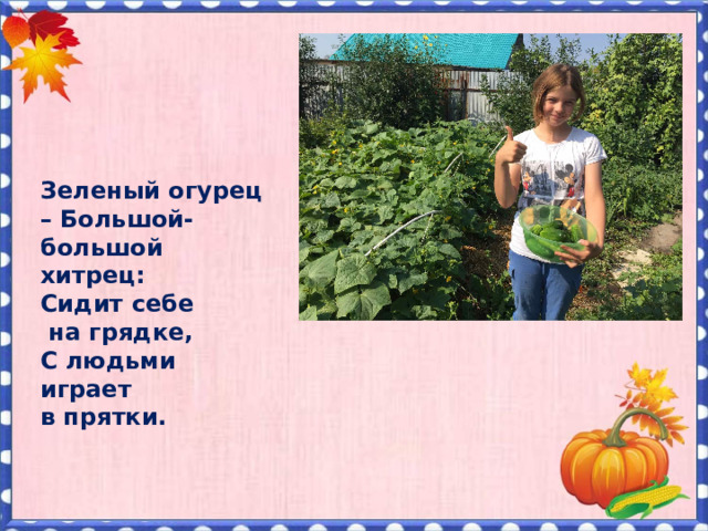Зеленый огурец – Большой- большой хитрец: Сидит себе  на грядке, С людьми играет в прятки.    