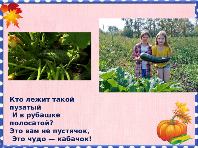 Кто лежит такой пузатый  И в рубашке полосатой? Это вам не пустячок,  Это чудо — кабачок!    