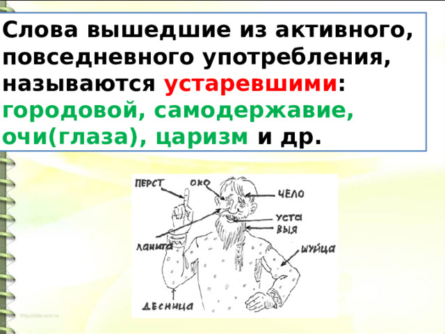 Устаревшее название углового удара. Старорусские слова вышедшие из употребления. Слова вышедшие из активного употребления называются. Старорусские слова вышедшие из употребления и их значение. Шуйца.