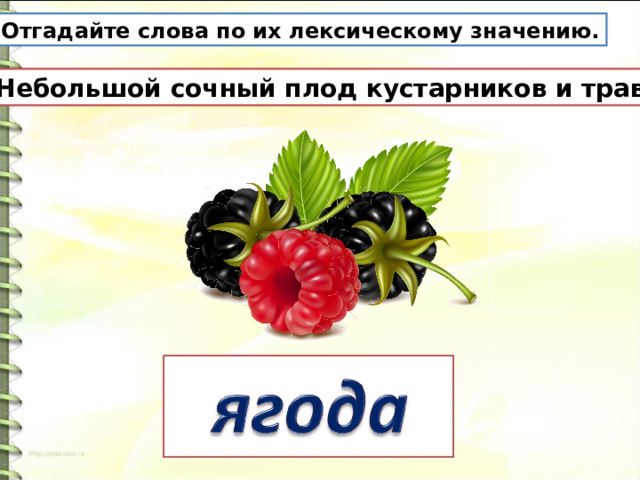 Отгадайте слова по их лексическому значению. Небольшой сочный плод кустарников и трав. 
