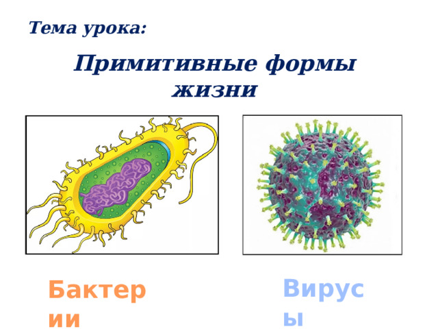 Примитивные организмы. Бактерии. Вирусы и бактерии. Примитивные организмы вирусы схема. Примитивные организмы 9 класс.