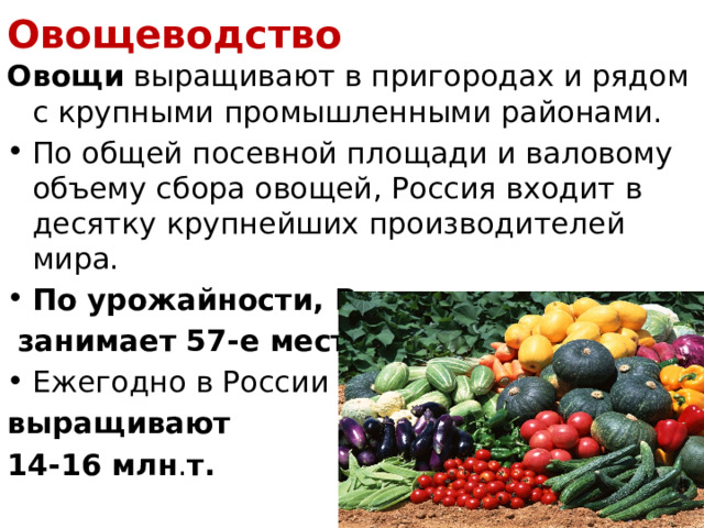 Овощеводство Овощи  выращивают в пригородах и рядом с крупными промышленными районами. По общей посевной площади и валовому объему сбора овощей, Россия входит в десятку крупнейших производителей мира. По урожайности, Россия  занимает 57-е место. Ежегодно в России выращивают 14-16 млн . т. 