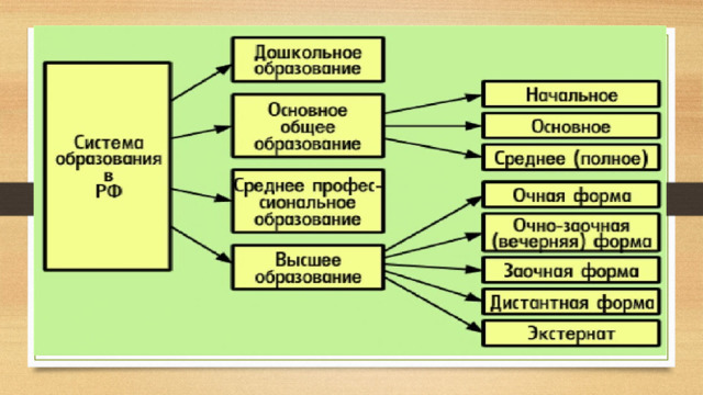 Проект система образования в российской федерации