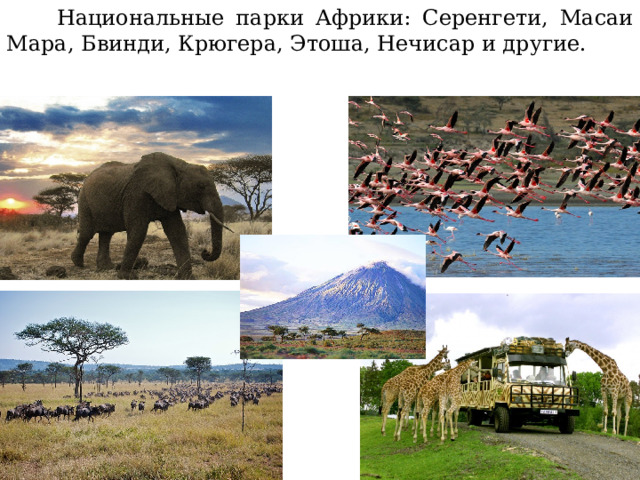Национальные парки Африки: Серенгети, Масаи Мара, Бвинди, Крюгера, Этоша, Нечисар и другие. 