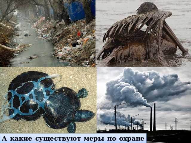 А какие существуют меры по охране природы? 