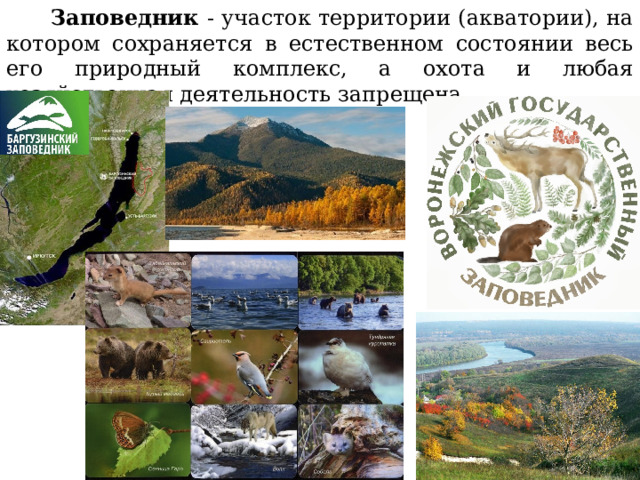 Заповедник - участок территории (акватории), на котором сохраняется в естественном состоянии весь его природный комплекс, а охота и любая хозяйственная деятельность запрещена. 