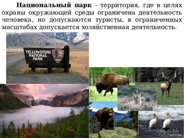 Национальный парк - территория, где в целях охраны окружающей среды ограничена деятельность человека, но допускаются туристы, в ограниченных масштабах допускается хозяйственная деятельность. 