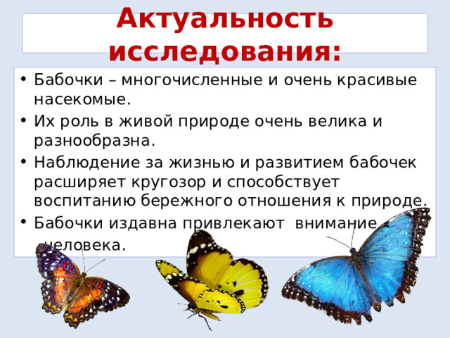 Малышам о живой природе бабочки. День изучения бабочки