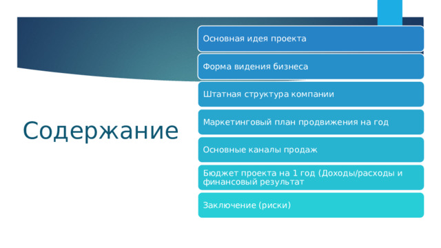 Основная идея проекта Содержание Форма видения бизнеса Штатная структура компании Маркетинговый план продвижения на год Основные каналы продаж Бюджет проекта на 1 год (Доходы/расходы и финансовый результат Заключение (риски) 