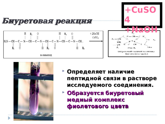 +CuSO4 +NaOH Биуретовая реакция Определяет наличие пептидной связи в растворе исследуемого соединения. Образуется биуретовый медный комплекс фиолетового цвета   