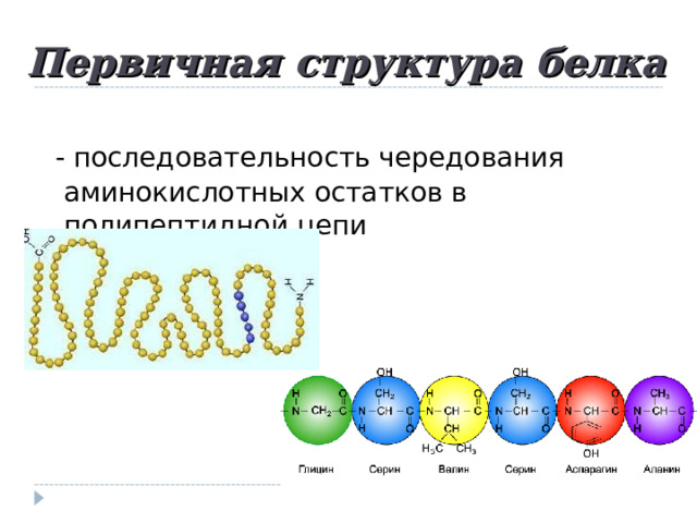 Первичная структура белка  - последовательность чередования аминокислотных остатков в полипептидной цепи 