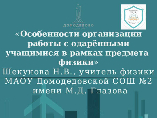 Особенности организации работы с одарёнными учащимися в рамках предмета