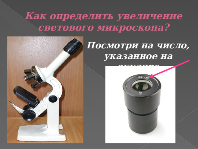 Как определить увеличение светового микроскопа? Посмотри на число, указанное на окуляре 