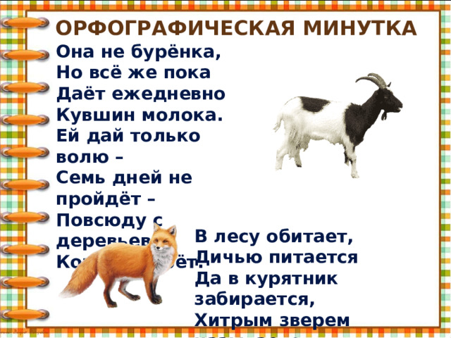 Орфографическая минутка Она не бурёнка, Но всё же пока Даёт ежедневно Кувшин молока. Ей дай только волю – Семь дней не пройдёт – Повсюду с деревьев Кору обдерёт. В лесу обитает, Дичью питается Да в курятник забирается, Хитрым зверем называется. 