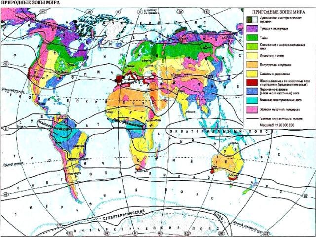Природные зоны 6 класс. Зоны климата. Субарктический пояс. Субарктический климат осадки. Природная степь субарктического пояса.