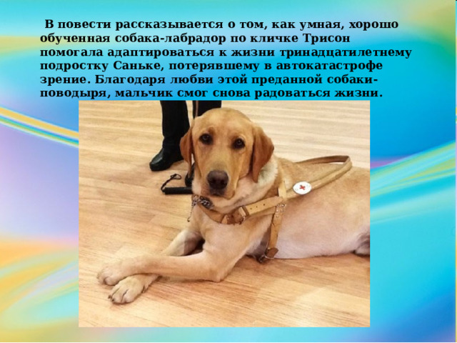  В повести рассказывается о том, как умная, хорошо обученная собака-лабрадор по кличке Трисон помогала адаптироваться к жизни тринадцатилетнему подростку Саньке, потерявшему в автокатастрофе зрение. Благодаря любви этой преданной собаки-поводыря, мальчик смог снова радоваться жизни.  