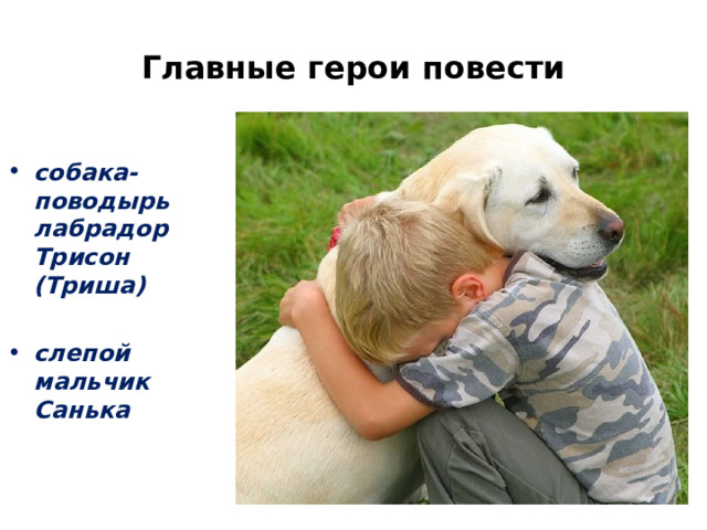 Главные герои повести собака-поводырь лабрадор Трисон (Триша)  слепой мальчик Санька  