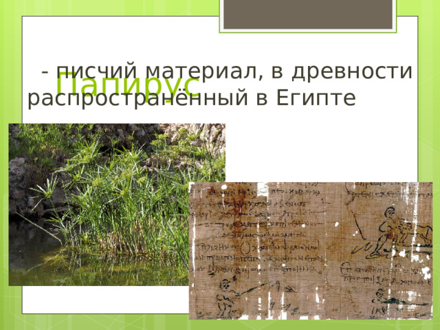 Папирус  - писчий материал, в древности распространённый в Египте 