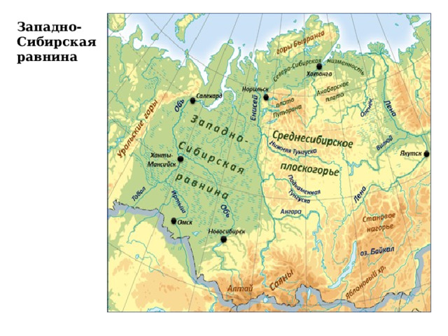Западно-Сибирская равнина образование равнины. Формы рельефа Западной Сибири на карте. Западно Сибирская платформа форма рельефа. Определите абсолютную высоту западно сибирской равнины