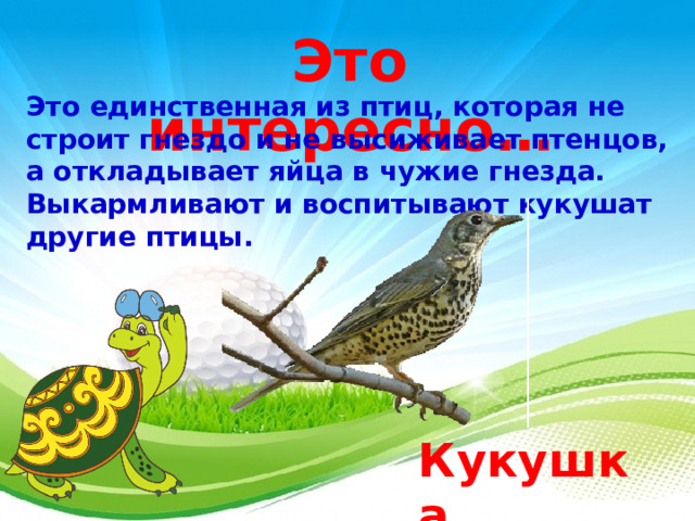 Проект птицы 1 класс окружающий мир Презентация на тему: "Кто такие птицы?" 1 класс. "Школа России"