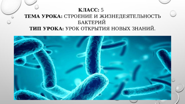 Класс: 5  Тема урока: Строение и жизнедеятельность бактерий  Тип урока: урок ОТКРЫТИЯ НОВЫХ знаний.   